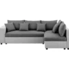 Canapé D'angle Convertible Droite + Coffre De Rangement - Gris Foncé Et Clair - FL ASH