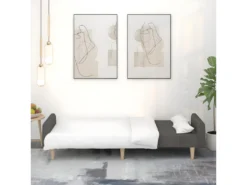 Canapé-lit à 2 Places Gris Foncé Tissu -Canapé Soldes Boutique canape 21993273