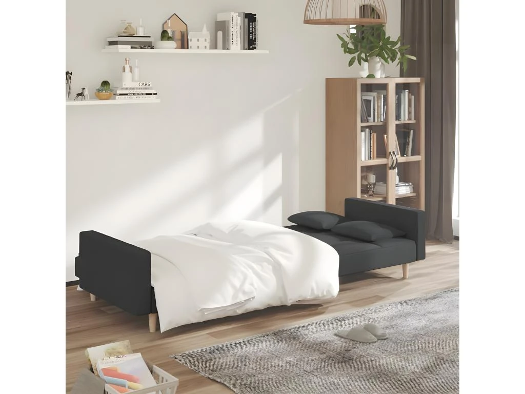 Canapé-lit à 2 Places Avec Deux Oreillers Gris Foncé Tissu 3 Canapé-lit à 2 Places Avec Deux Oreillers Gris Foncé Tissu – Image 3