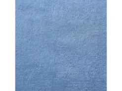 Canapé-lit Pour Enfants à 2 Places Bleu Peluche Douce -Canapé Soldes Boutique canape 21998967