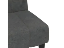 Canapé-lit à 2 Places Gris Foncé Tissu Microfibre -Canapé Soldes Boutique canape 22000073