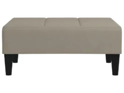 Canapé-lit 2 Places 2 Oreillers Repose-pied Gris Clair Velours -Canapé Soldes Boutique canape 22585799