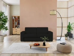 Canapé 3 Places Convertible Express 100% Cuir De Buffle Noir Matelas 18 Cm DELECTEA II