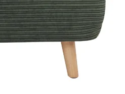 Canapé 2 Places Convertible En Velours Côtelé PALULA - Vert Foncé -Canapé Soldes Boutique canape 380759